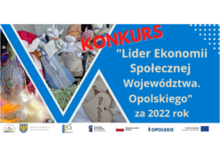 Baner Lider ekonomii społeczne Województwa Opolskiego Roku za 2022 rok