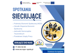 SPOTKANIA SIECIUJĄCE - Podmioty Ekonomii Społecznej (NGO) - Ośrodki Wsparcia Ekonomii Społecznej - Jednostki Samorządów Terytorialnych - Powiatowe Urzędy Pracy DOŁĄCZ DO NAS tel. 77 456 58 86 strona internetowa: es.rops-opole.pl Logo: ROPS w Opolu, Funadusze Europejskie dla Rozwoju Społecznego, Flaga RP, Dofinansowane przez UE