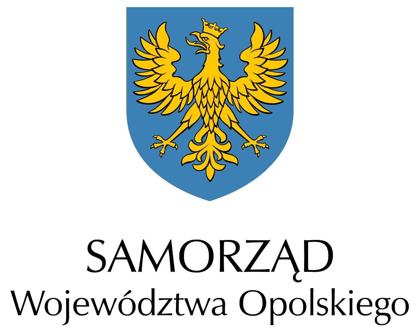 Strona internetowa Opolskie.pl